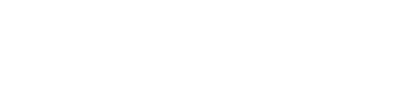 Logo Reveal